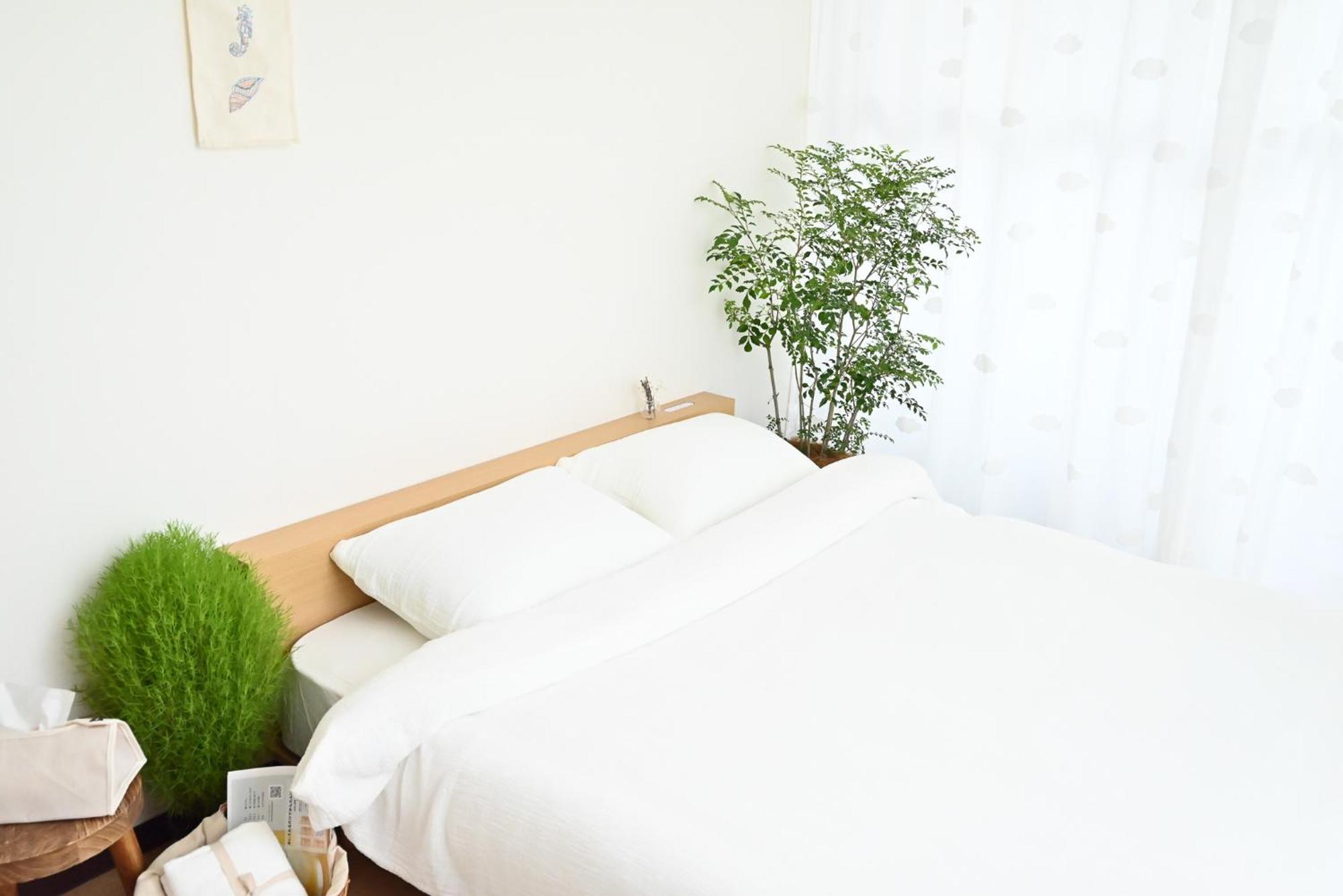 Apartment 小春日和_沐夏館